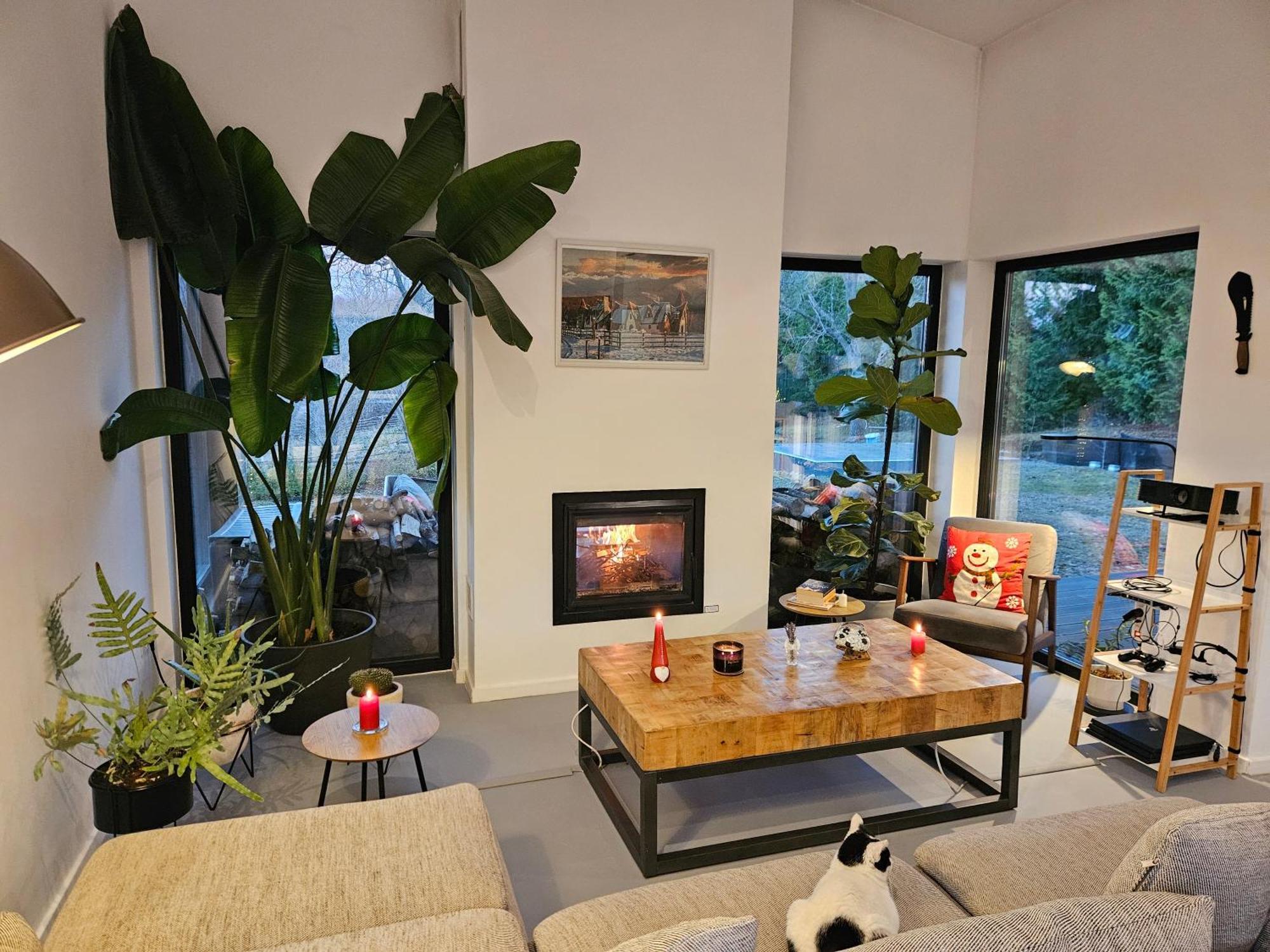 Black Walnut House With Indoor Outdoor Fireplace Izvoarele  Exterior foto