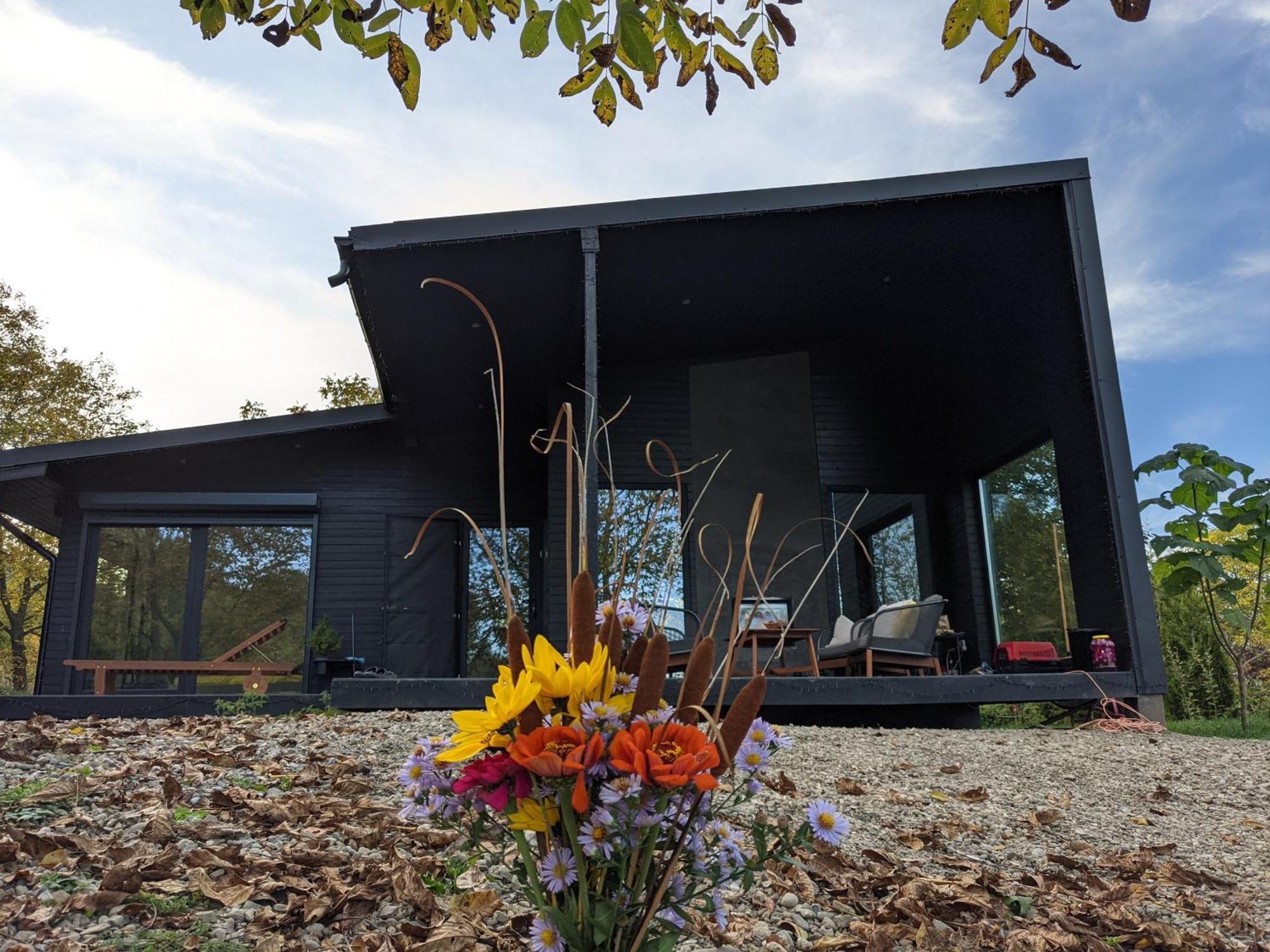 Black Walnut House With Indoor Outdoor Fireplace Izvoarele  Exterior foto